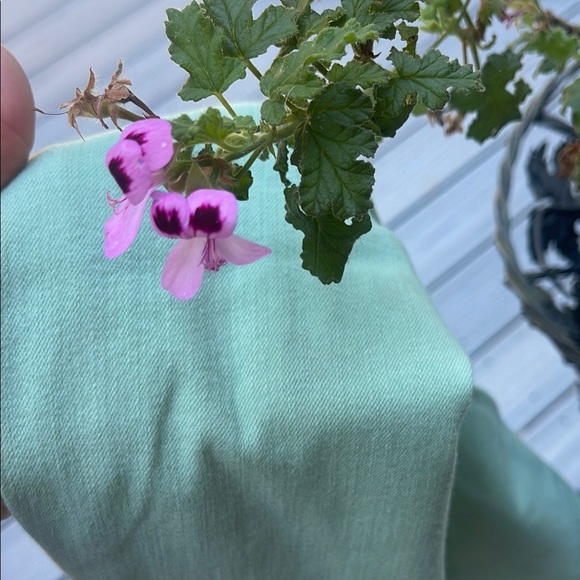 Adriano Goldschmied (AG) "The Stevie Ankle" Slim Straight Leg Pants 29R - Picture 10 of 11